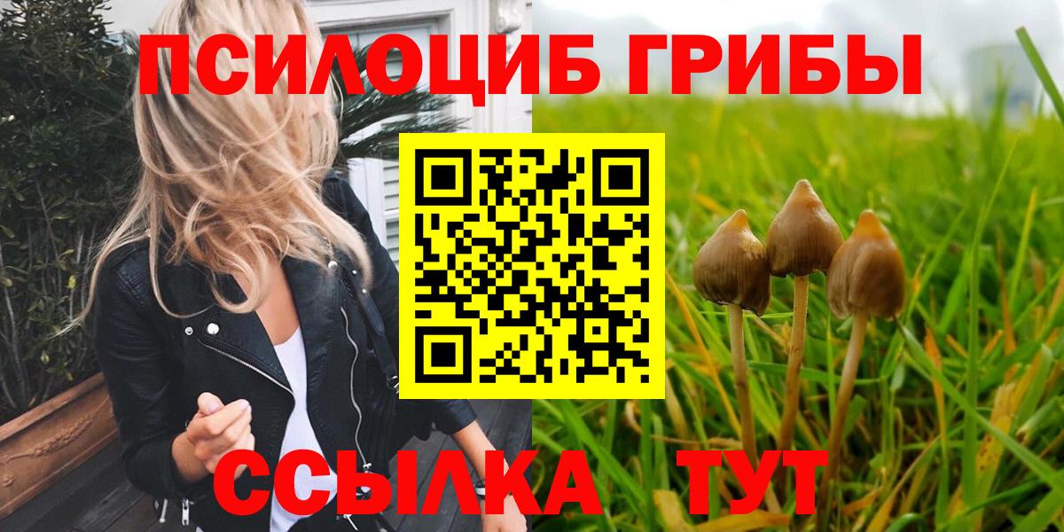 Псилоцибиновые грибы Magic Shrooms  Вход с VPN  дарнет шоп  Гурьевск 