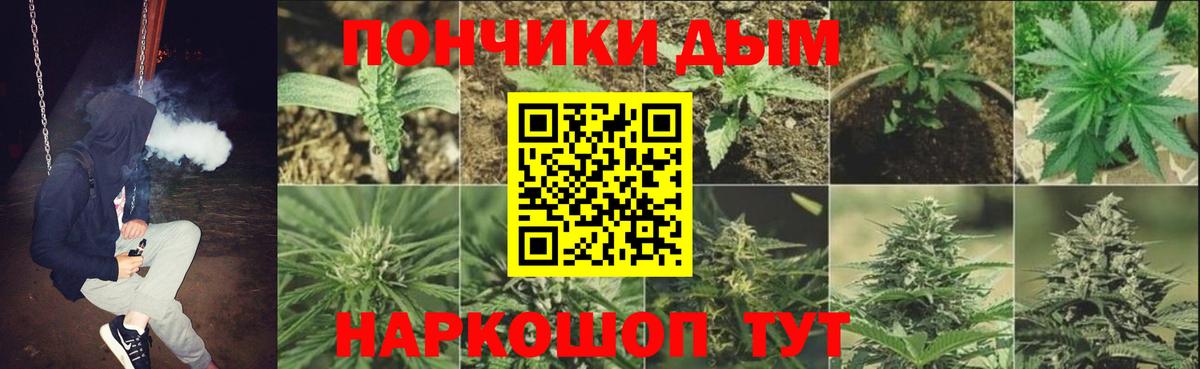 Гурьевск  Конопля планчик  МАРИХУАНА VHQ  Конопля план  Конопля тримм  Вход с VPN 